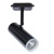 Светильник на штанге Arte Lamp Hubble A6813PL-1BK Светильник на штанге Arte Lamp Hubble A6813PL-1BK