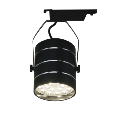 Светильник на штанге Arte Lamp Track Lights A2718PL-1BK