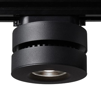 Накладной светильник Arte Lamp 2508 A2508PL-1BK