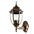 Светильник на штанге Arte Lamp Pegasus A3151AL-1BN