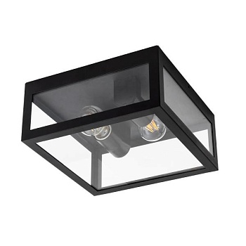 Накладной светильник Arte Lamp Belfast A4569PF-2BK