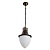 Подвесной светильник Arte Lamp Vienna A1317SO-1BN