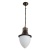 Подвесной светильник Arte Lamp Vienna A1317SO-1BN