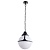 Подвесной светильник Arte Lamp Monaco A1495SO-1BK