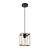 Подвесной светильник Arte Lamp Dublin A7025SP-1BK