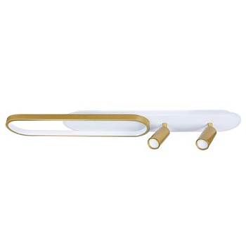 Спот Arte Lamp Lucas A2600PL-32GO