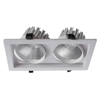 Встраиваемый светильник Arte Lamp Privato A7018PL-2WH