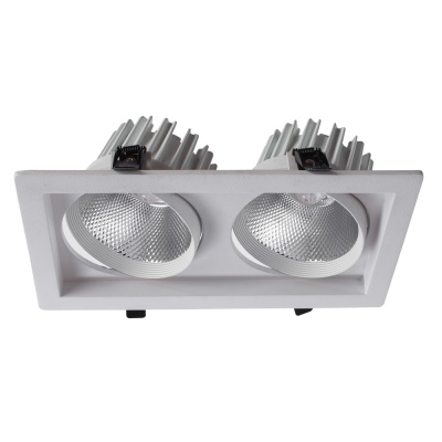 Встраиваемый светильник Arte Lamp Privato A7018PL-2WH