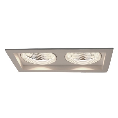 Встраиваемый светильник Arte Lamp Privato A7007PL-2WH