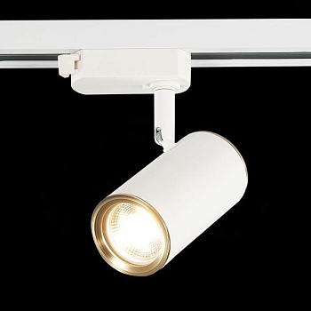 Светильник на штанге ST-Luce Cromi ST301.536.01