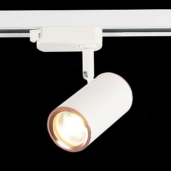 Светильник на штанге ST-Luce Cromi ST301.526.01