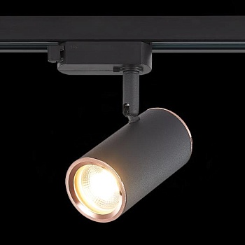 Светильник на штанге ST-Luce Cromi ST301.426.01