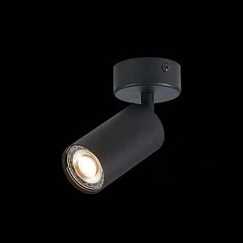 Спот ST-Luce Dario ST303.402.01