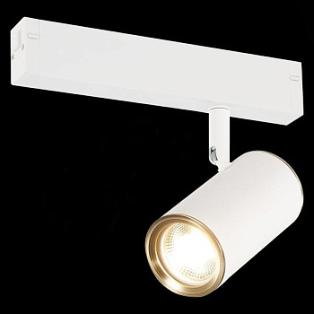 Светильник на штанге ST-Luce SKYLINE 220 ST504.536.01
