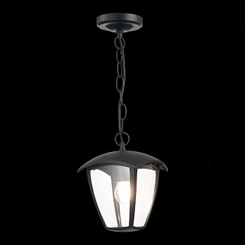 Подвесной светильник ST-Luce Sivino SL081.403.01