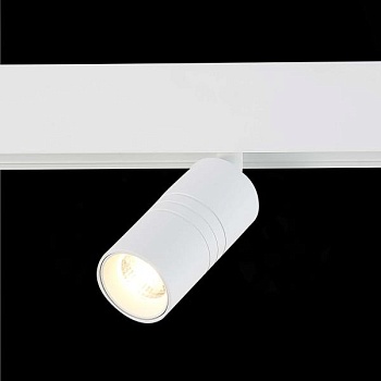 Светильник на штанге ST-Luce Lemmi ST365.536.07