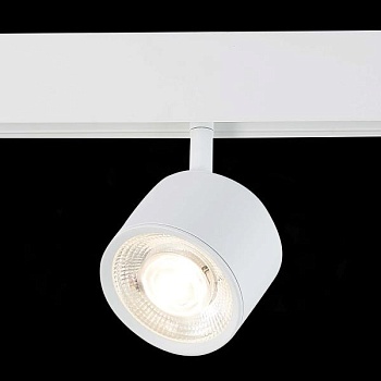 Светильник на штанге ST-Luce Vedo ST353.546.06