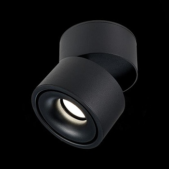 Светильник на штанге ST-Luce ST652 ST652.442.12