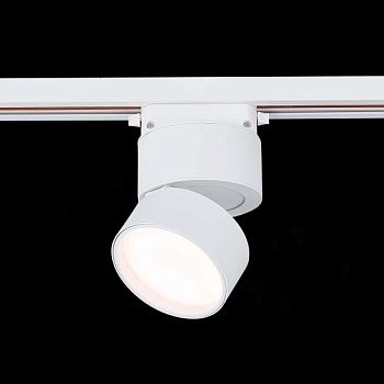 Светильник на штанге ST-Luce ST651 ST651.536.09