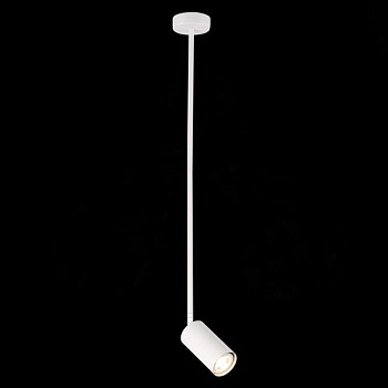 Светильник на штанге ST-Luce Sormano SL1206.503.01