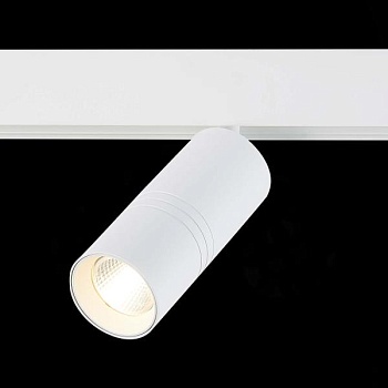 Светильник на штанге ST-Luce Lemmi ST365.536.18