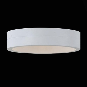 Накладной светильник ST-Luce SL562 SL562.501.01