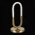Настольная лампа декоративная ST-Luce Mofisto SL1579.304.01