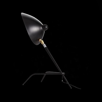 Настольная лампа декоративная ST-Luce Spruzzo SL305.404.01