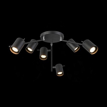 Потолочная люстра ST-Luce Fanale SL597.402.06