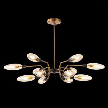 Потолочная люстра ST-Luce Desima SL1174.303.12