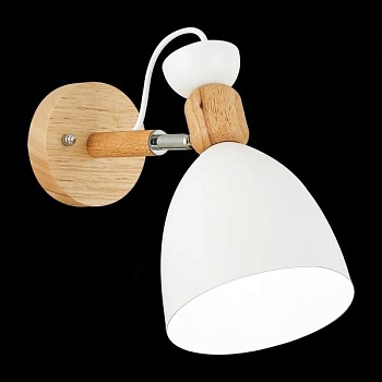Бра EVOLUCE Balcamo SLE103801-01