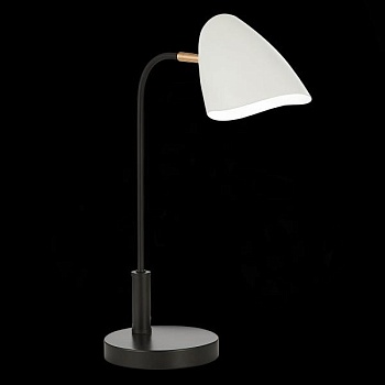 Настольная лампа офисная EVOLUCE Satta SLE103604-01