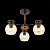 Люстра на штанге EVOLUCE Rasco SLE108102-03