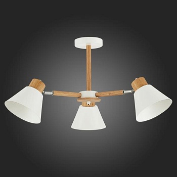 Люстра на штанге EVOLUCE Buve SLE103702-03