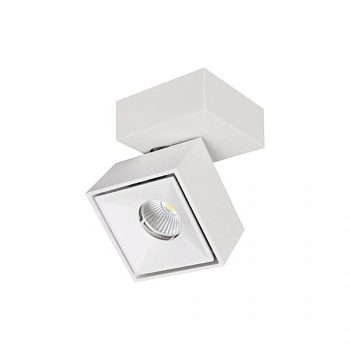 Спот Citilux Стамп CL558020N
