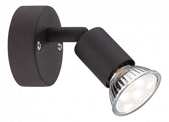 Спот Globo Olana & Oliwa 57382-1L