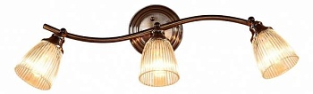Спот Citilux Виндзор CL539531