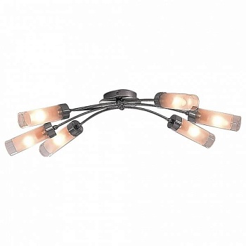 Потолочная люстра Citilux Овале CL102161