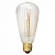 Лампа накаливания Citilux  E27 40Вт 2700K ST64-19FL
