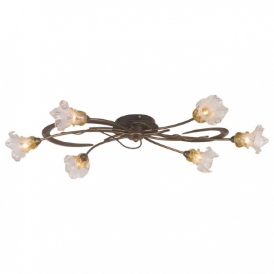 Потолочная люстра Odeon Light Alba 1365/6A