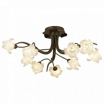 Потолочная люстра Odeon Light Iris 1372/9