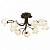 Потолочная люстра Odeon Light Iris 1372/9