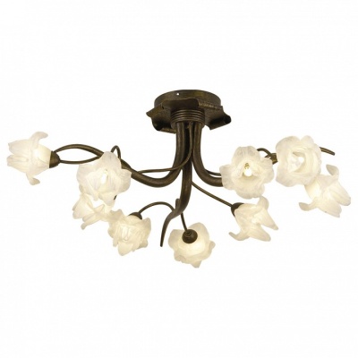 Потолочная люстра Odeon Light Iris 1372/9