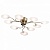 Потолочная люстра Odeon Light Kera 1377/9C