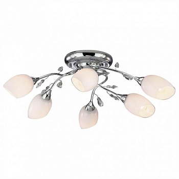 Потолочная люстра Odeon Light Fiera 1603/6