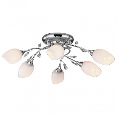Потолочная люстра Odeon Light Fiera 1603/6