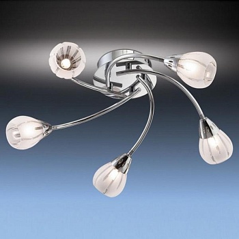 Потолочная люстра Odeon Light Posi 1613/5C