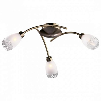 Потолочная люстра Odeon Light Lerta 1803/3C