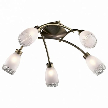 Потолочная люстра Odeon Light Lerta 1803/5C