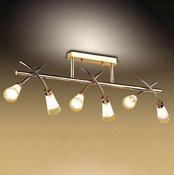 Светильник на штанге Odeon Light Coli 1805/6